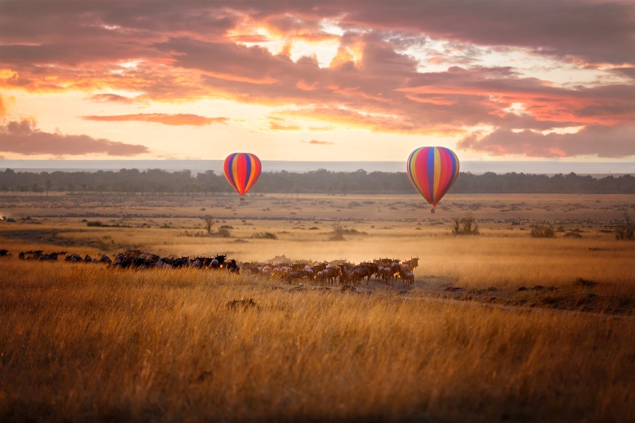 4 Days Maasai Mara & Lake Nakuru Lodge Safari safari view 4
