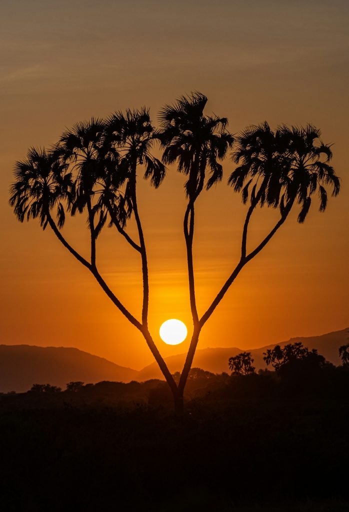 12 Days, 11 Nights Kenya Budget Camping Safari gallery image 1