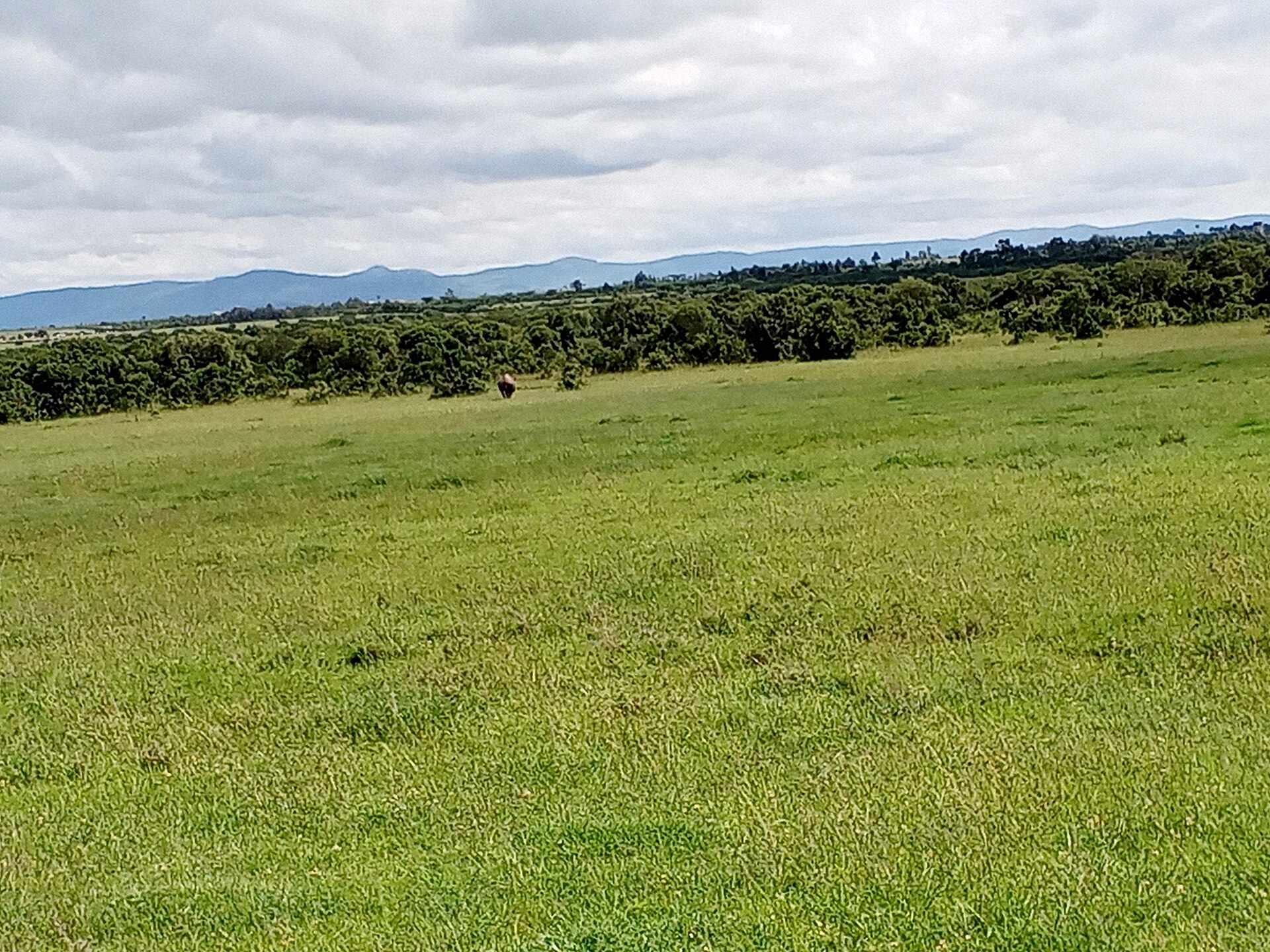 10 Days Bush & Beach Vacation: Aberdares, Ol Pejeta, Naivasha, Amboseli, Taita Hills & Malindi Beach