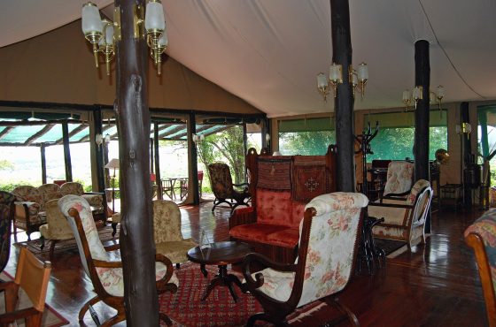 11 Days Kenya & Tanzania Budget Camping Safari Adventure