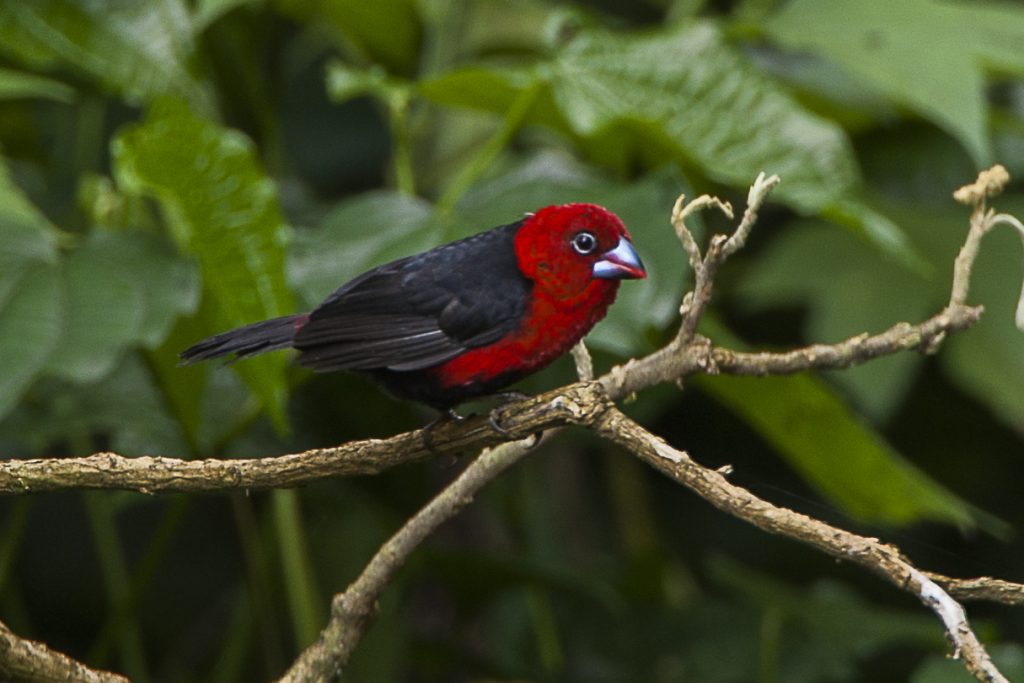 13 Days Kenya Bird Watching Safari safari view 3