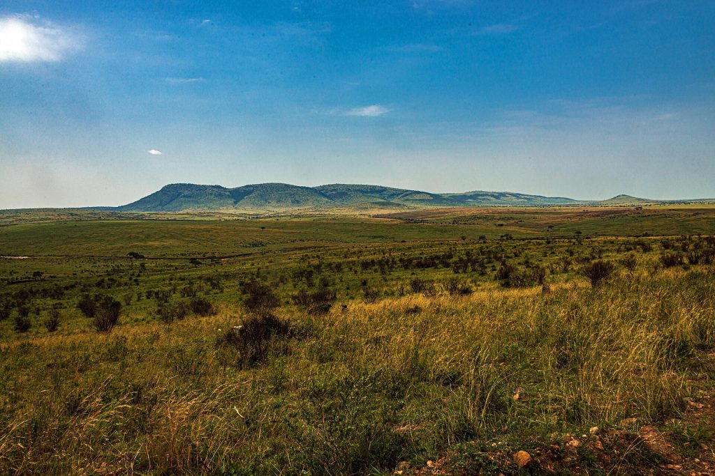 15 Days Kenya, Tanzania Wildlife Safari & Zanzibar Beach safari view 2