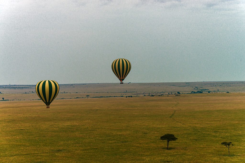 2 Days, 1 Night Masai Mara Air Safari safari view 3