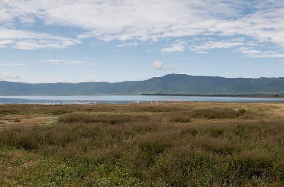 3 Days Lake Manyara & Ngorongoro Safari