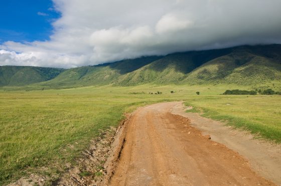 3 Days Ngorongoro Crater Tanzania Safari