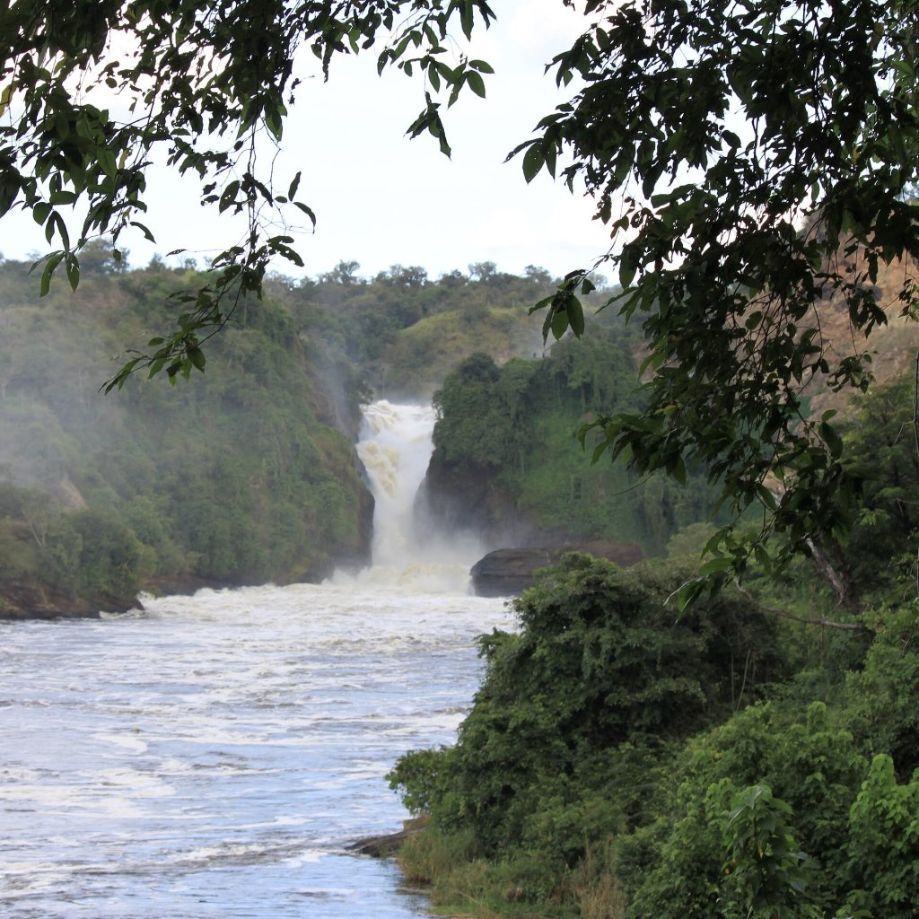 3 Days Uganda Wildlife Safari to Murchison Falls National Park