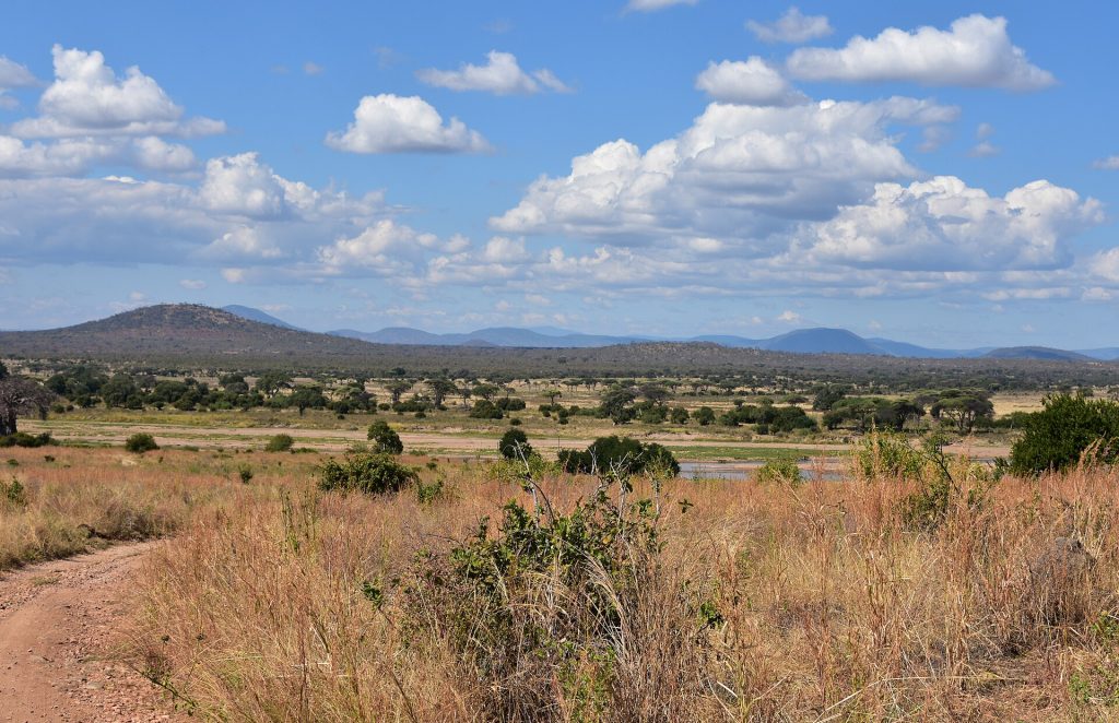 4 Days Serengeti National Park & Ngorongoro Safari safari view 3