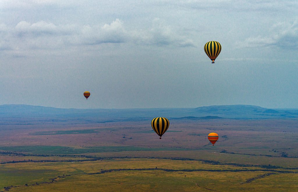 5 Days Amboseli & Masai Mara Luxury Flying Safari safari view 4