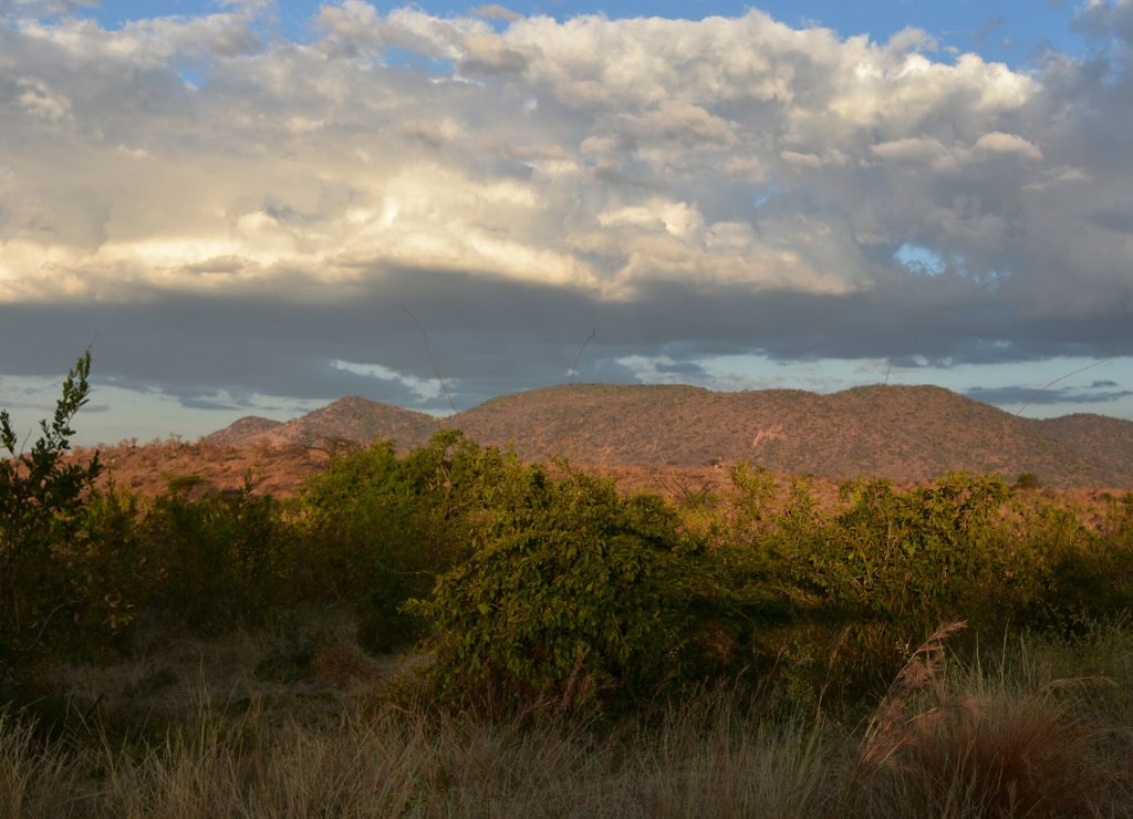 5 Days Lake Manyara, Ngorongoro & Serengeti Safari safari view 3