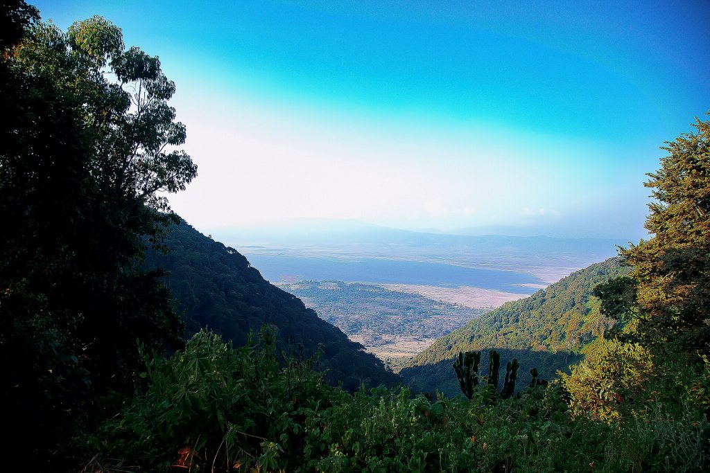 6 Days Manyara, Serengeti, Ngorongoro & Tarangire Safari safari view 2