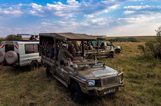 6 Days Masai Mara, Serengeti & Ngorongoro Migration Safari