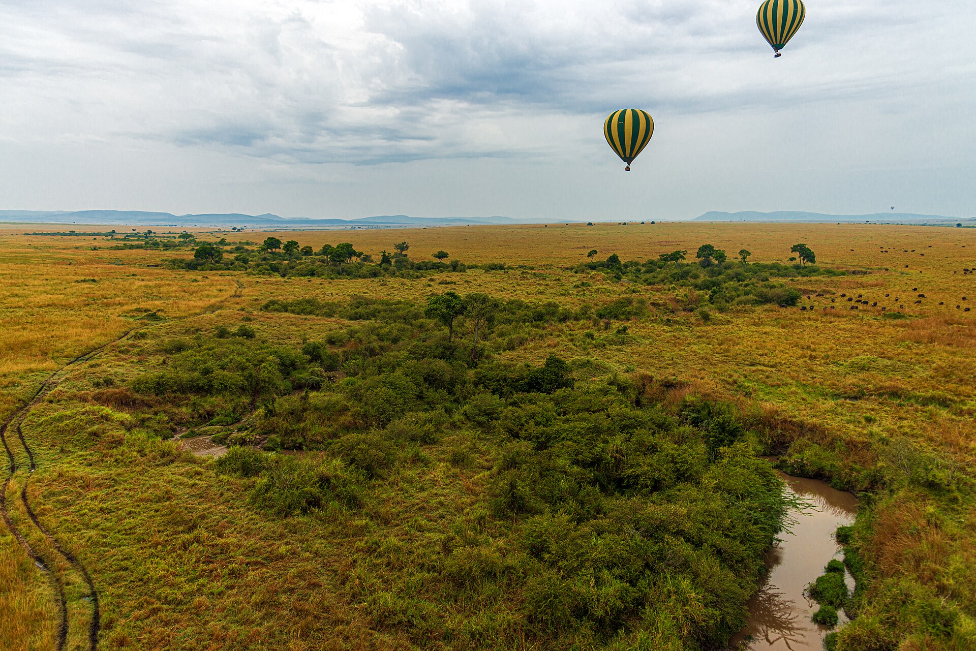 7 Days Kenya Bush Honeymoon: Masai Mara, Lake Nakuru, Naivasha & Nairobi