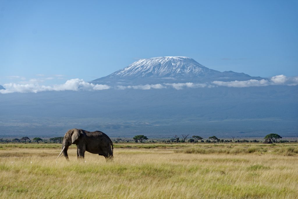 8 Days Amboseli, Lake Naivasha, Nakuru & Masai Mara Luxury Safari gallery image 5