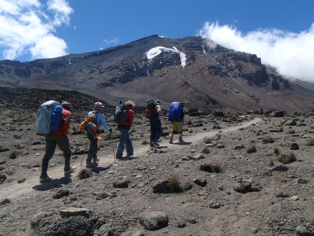 8 Days Mt. Kilimanjaro Trekking & Climbing: Machame Route safari view 3