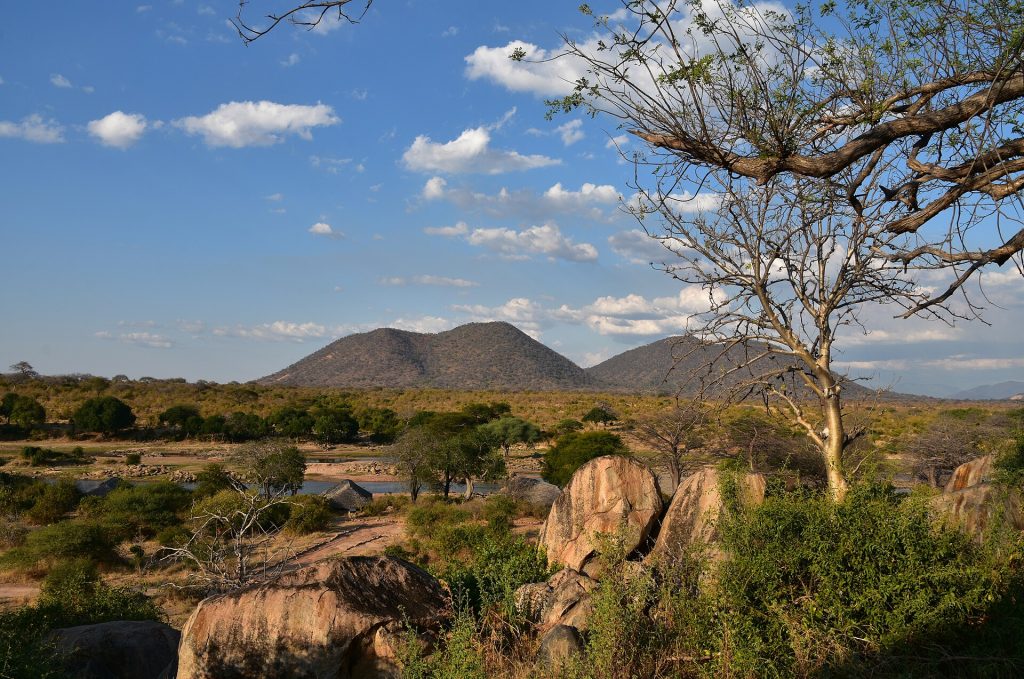 9 Days Arusha, Manyara, Serengeti, Ngorongoro & Tarangire Safari safari view 3