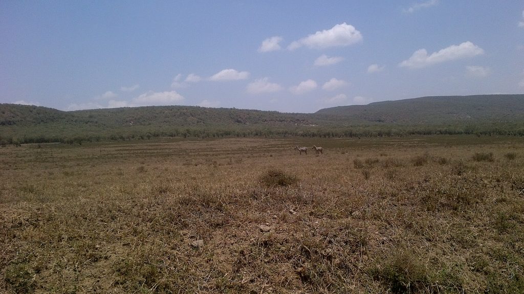 Hells Gate National Park & Lake Naivasha Day Tour safari view 4